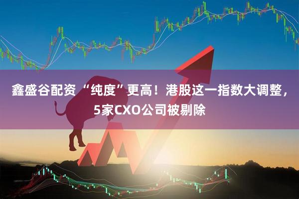 鑫盛谷配资 “纯度”更高！港股这一指数大调整，5家CXO公司被剔除