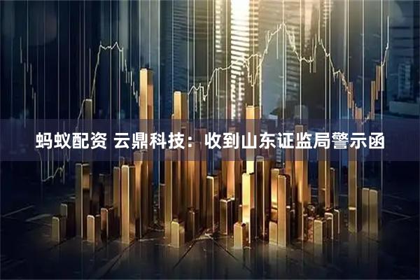 蚂蚁配资 云鼎科技：收到山东证监局警示函