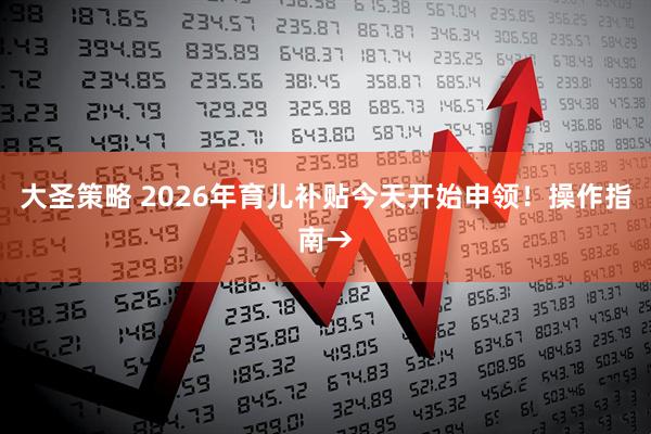 大圣策略 2026年育儿补贴今天开始申领！操作指南→